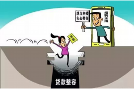 临沧债务清欠服务