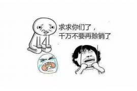 临沧贷款清欠服务